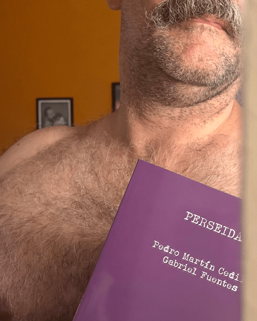 LECTURA: Perseidas